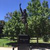 Lachlan Murray - @lachie_13 - TikTok