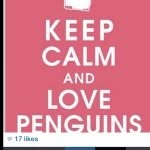 Lachlan_Randall - @randall4031 - Instagram