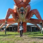 Lachlan Roberts - Facebook