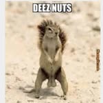 Lachlan Roberts - @deez_nutz5459 - Instagram