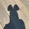 BoogieBridges - @lachlanrosemuse - TikTok