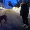 Lachlan - @lachlan.rose - TikTok