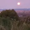 Lachlan Roser - @lachlan.roser - TikTok