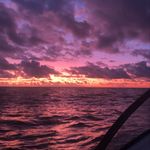 Lachlan Ryan - @lachlan_ryan21 - Instagram