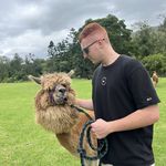 Lachlan Ryan - @lockie335 - Instagram