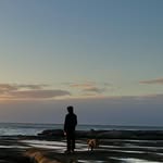 Lachlan Shaw - @lachlanshaw - Instagram