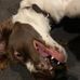 Lachlan Smith - Facebook
