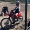 Lachlan Smith - @lachlan.smith60 - TikTok