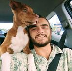 Lachlan Andrew Stokes - Facebook