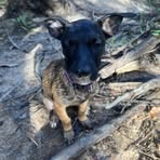 Lachlan Sutherland - Facebook