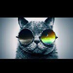 Lachlan Sutton - @lachlan_sutton7 - Instagram