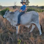 Lachlan Sutton - @locky_s09 - Instagram