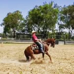 lachlan sutton - @26sl102423 - Instagram