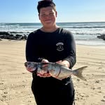 Lachlan sweeney - @sweeneycantfish - Instagram
