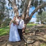 Lachlan Thomas - Facebook