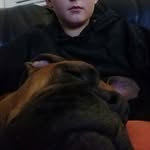 lachlan wright - @_lachlan.wright_ - Instagram