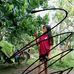 Anth Smith Layson Ursabia - Facebook