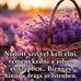 Laci Bella - Facebook