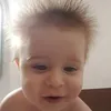 Bernard Lacipiete La - @lacipiere.bernard - TikTok