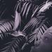Laci Bernardes - Facebook