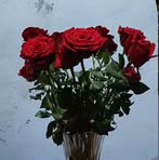Luci Chavez - Facebook