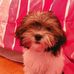 Laci Dyer - Facebook