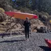 laci - @laci.fox.7 - TikTok