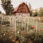 Lacy Hall - @heichelhillfarm - Instagram