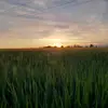 la89ci - @lacihunter89 - TikTok