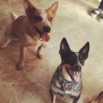Laci and Hunter - @laci_hunter_ - Instagram