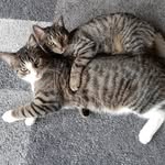 Luna & Laci - @luna_and_laci - Instagram