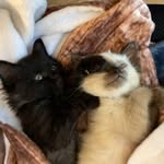 Luna&Laci - @lunaandlaci - Instagram