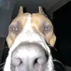 Lacie Mitchell - @lacie.mitchell811 - TikTok