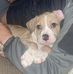 Lacie Mullins - Facebook