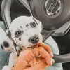 lacie_murphy - @lacie_murphy - TikTok