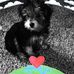 Laci Sims - Facebook
