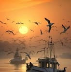 Louis Vui Sutton - Facebook