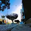 lacitverte2 - @lacitverte2 - TikTok