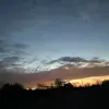 laciwalker195 - @laciwalker195 - TikTok