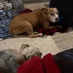Lacie Webb - Facebook