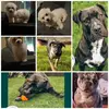 Shared account - @lacie.harrisoncromp - TikTok
