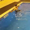 Lacie_Lopez - @Lacie_Lopez - TikTok