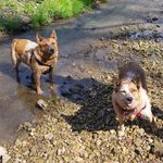 Lacy•Baxter - @lacyandbaxter - Instagram