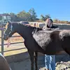 lacy.belcher19 - @lacy.belcher19 - TikTok