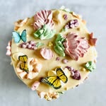 Lacy Black - @lillybeancakehouse - Instagram