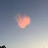 lacy.bond! - @lacy_bond._ - TikTok