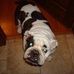 Lacy Bonner - Facebook