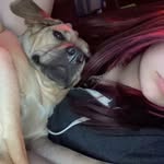Lacy Burcham - @lacyburcham6 - Instagram