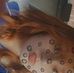 Lacy Calhoun - Facebook