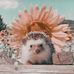 Lacy Calhoun - Facebook